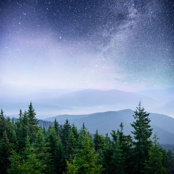 Dairy Star Trek Woods Dramatic Picturesque Scene Fantastic Starry Sky — Stock Photo, Image