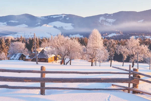 Misterioso Paesaggio Invernale Maestose Montagne Inverno Magico Albero Coperto Neve — Foto Stock