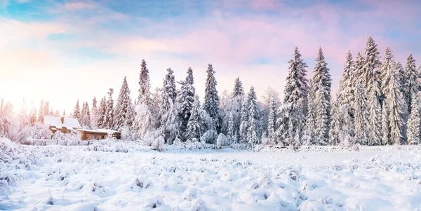 Cabin Mountains Winter Mysterious Fog Anticipation Holidays Carpathians Ukraine Europe — Stock Photo, Image