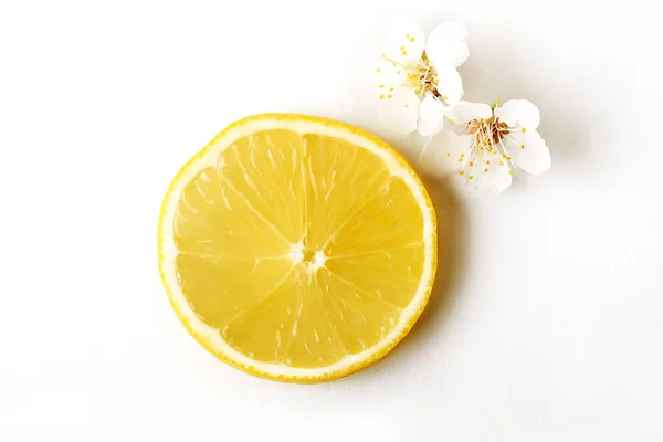 白い背景にレモンの柑橘類の実をスライス — ストック写真