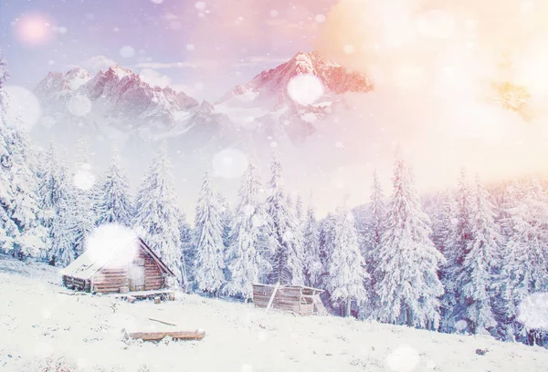 Chata Górach Zimie Tło Kilkoma Miękkimi Pasemkami Płatkami Śniegu Karpaty — Zdjęcie stockowe