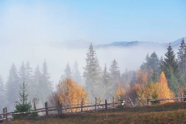 Poranna Mgła Skrada Się Resztkami Nad Jesiennym Lasem Górskim Pokrytym — Zdjęcie stockowe