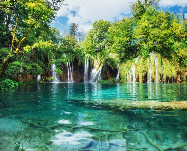 Ett Foto Fiskar Som Simmar Sjö Taget Nationalparken Plitvice Kroatien — Stockfoto
