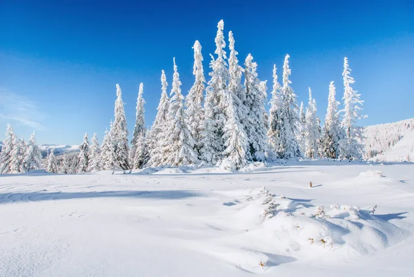 Fantastická Zimní Krajina Magický Západ Slunce Horách Mrazivý Den Předvečer — Stock fotografie