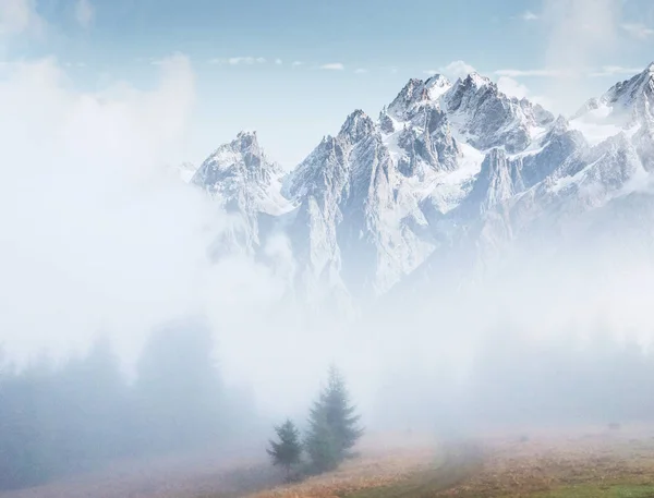 Poranna Mgła Pełza Resztkami Nad Jesiennym Lasem Górskim Pokrytymi Złotymi — Zdjęcie stockowe