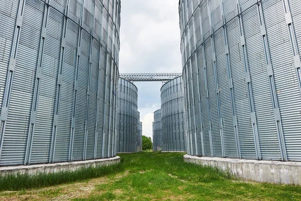 Silos Agrícolas Edificio Exterior Almacenamiento Secado Granos Trigo Maíz Soja — Foto de Stock