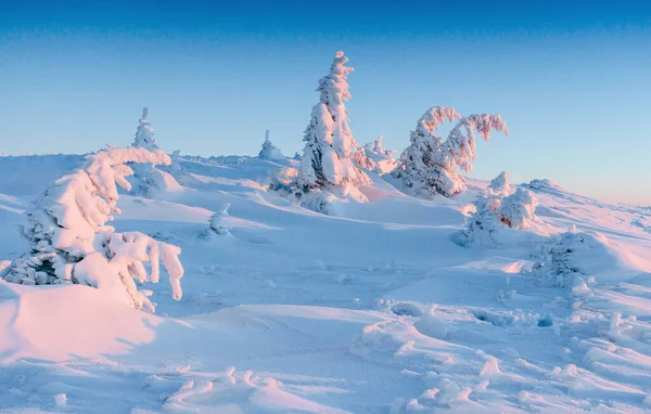 Geheimnisvolle Winterlandschaft Majestätische Berge Winter Magischen Winter Schneebedeckten Baum Winterstraße — Stockfoto