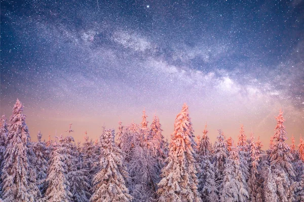 Magico Albero Coperto Neve Invernale Paesaggio Invernale Cielo Notturno Vibrante — Foto Stock