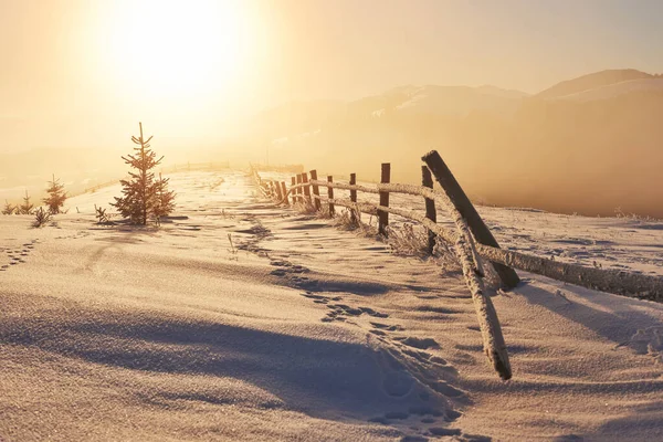 Det Mystiske Vinterlandskab Majestætiske Bjerge Vinteren Fantastisk Solnedgang Foto Venligst - Stock-foto