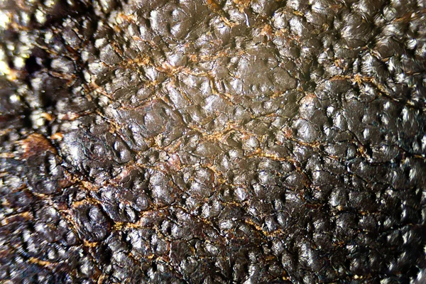 Mundo Microscópico Primer Plano Una Textura Cuero Bajo Microscopio — Foto de Stock
