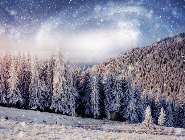 Sterrenhemel Besneeuwde Winternacht Fantastische Melkweg New Year Eve Hoffelijkheid Van — Stockfoto