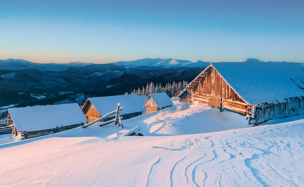 Misterioso Paesaggio Invernale Maestose Montagne Inverno Magico Albero Coperto Neve — Foto Stock