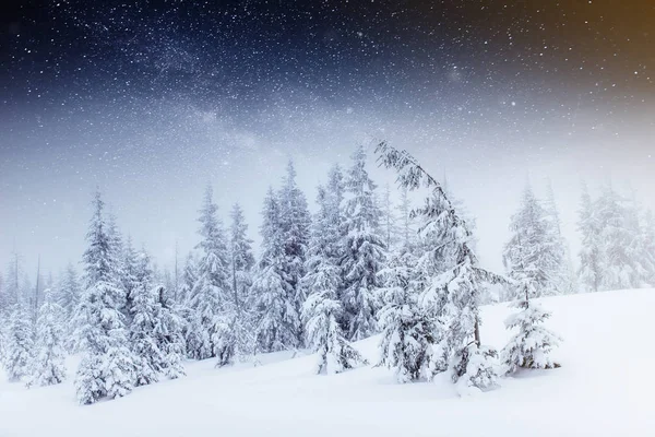 starry sky in winter snowy night. fantastic milky way in the New Year\'s Eve. Starry sky snowy winter night. The Milky Way is a fantastic New Year\'s Eve. Winter road in the mountains.