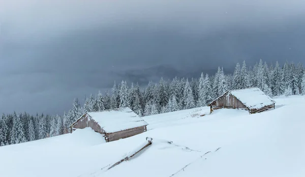 Kabina Horách Zimě Tajemné Mlhy Očekávání Svátků Karpaty Ukrajina Evropa — Stock fotografie