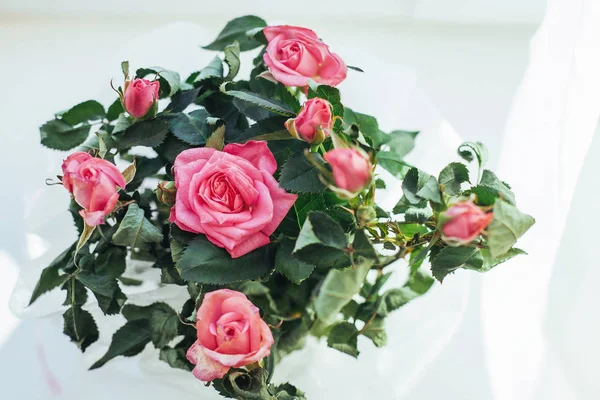 Rosa Ros Blommor Arrangemang Isolerad Vit — Stockfoto