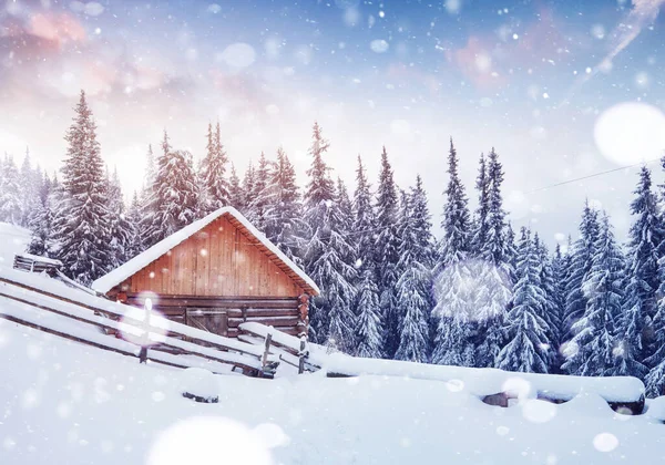 Cozy Wooden Hut High Snowy Mountains Great Pine Trees Background — Stock Photo, Image