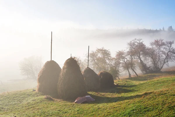 Úžasná Horská Krajina Mlhou Kupkou Sena Podzim Místo Konání Karpatský — Stock fotografie