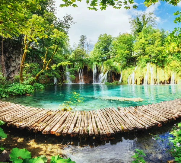 Una Foto Peces Nadando Lago Tomada Parque Nacional Plitvice Croacia —  Fotos de Stock