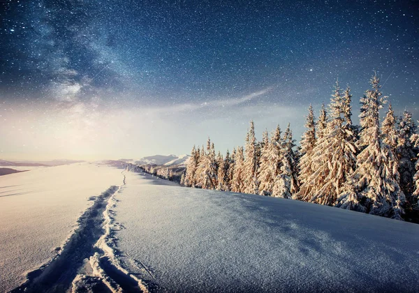 starry sky in winter snowy night. fantastic milky way in the New Year\'s Eve. Starry sky snowy winter night. The Milky Way is a fantastic New Year\'s Eve. Winter road in the mountains