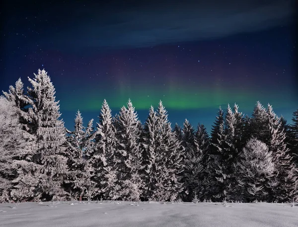 Sihirli Kış Karla Kaplı Ağaç Kış Manzarası Yıldızlar Kuzey Işıklarıyla — Stok fotoğraf