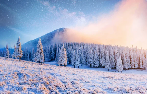 Beautiful Winter Landscape Carpathian Mountains Vibrant Night Sky Stars Nebula — Stock Photo, Image