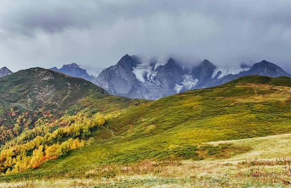 秋天的风景和白雪皑皑的山峰 在阳光下的白桦林 主要的高加索脊 从乔治亚州 Ushba Mheyer 山景观 — 图库照片