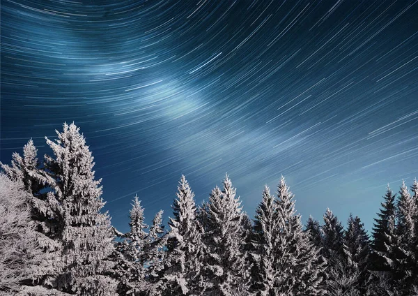 Árvore Coberta Neve Inverno Mágico Paisagem Inverno Céu Noturno Vibrante — Fotografia de Stock