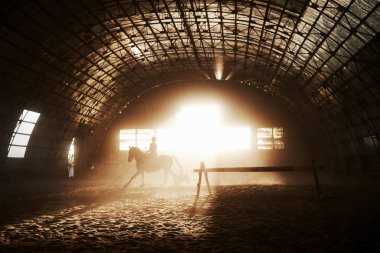 Majestic image of horse horse silhouette with rider on sunset background. The girl jockey on the back of a stallion rides in a hangar on a farm and jumps over the crossbar. The concept of riding. clipart