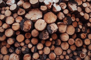 Kurutulmuş odun. Kış için hazırlanmış pek çok kütüğün önünü yakından izleyin. Doğa arkaplanı.