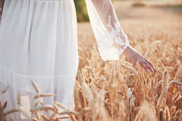 Uma Menina Bonita Vestido Branco Gasta Mão Picos Trigo Dourado — Fotografia de Stock