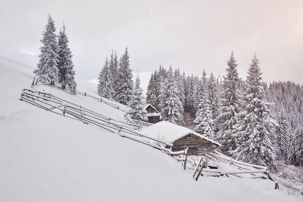 Gezellige Houten Hut Hoog Besneeuwde Bergen Grote Dennenbomen Achtergrond Verlaten — Stockfoto