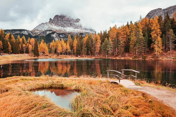 Good place to rest your mind. Amazing view of majestic mountains with woods in front of them at autumn day. Puddle that goes from the lake with little bridge.