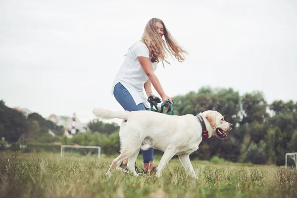 Ramme Med Vakker Jente Med Vakker Hund Park Grønt Gress – stockfoto
