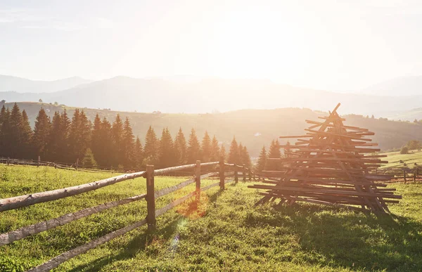 Prachtig Zomer Berglandschap Bij Zonneschijn Uitzicht Weide Omheind Hek Koeien — Stockfoto