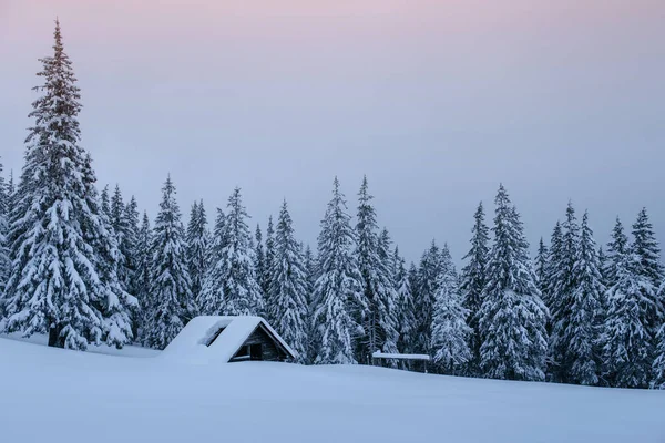 Śnieżny Las Karpatach Mały Przytulny Drewniany Dom Pokryty Śniegiem Koncepcja — Zdjęcie stockowe