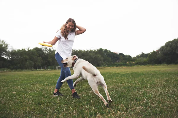 Jovem Brincando Com Seu Labrador Parque Ela Lança Disco Frisbee — Fotografia de Stock