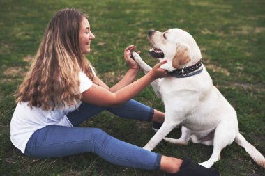Açık havada köpeği olan çekici genç bir kadın. Labrador Retriever ile yeşil çimlerin üzerinde Gril.