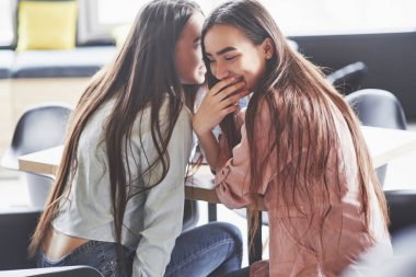 İki güzel ikiz kız zaman geçirir. Kardeşler bir kafede dinleniyor, birlikte eğleniyor ve fısıldıyor..