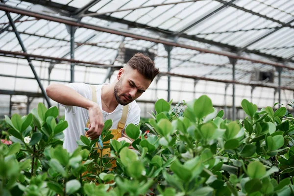 Foto Dalla Parte Anteriore Giovane Ragazzo Che Lavoro Nel Taglio — Foto Stock