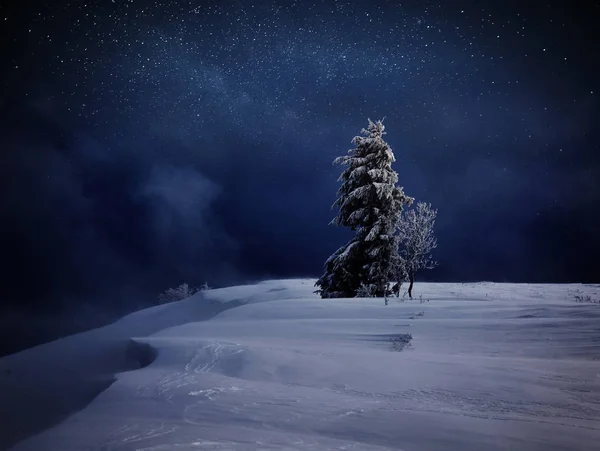 魔法の冬の雪に覆われた木の滞在 冬の風景 星や星雲や銀河との明るい夜空 深い空のアストロの写真 — ストック写真
