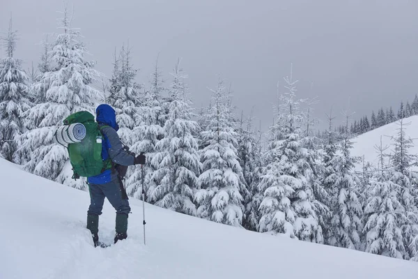 Excursionista Con Mochila Está Escalando Cordillera Admira Pico Nevado Aventura —  Fotos de Stock