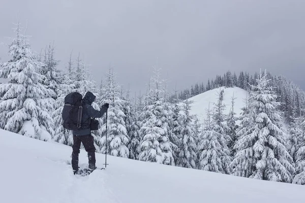 ハイキング バックパックでは 山の範囲に登っており 雪を賞賛帽をかぶったピーク 冬の荒野での壮大な冒険 — ストック写真