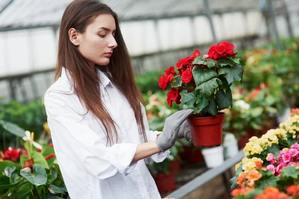 Kesztyűs Lány Piros Virágokkal Kezében — Stock Fotó