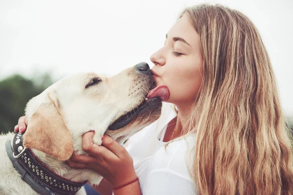 Parkta yeşil çimlerin üzerinde güzel bir köpeği olan güzel bir kızı çerçevelet.
