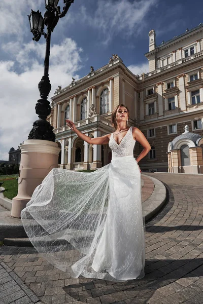 Novia Cerca Del Castillo Novia Vestido Novia Cerca Del Castillo — Foto de Stock