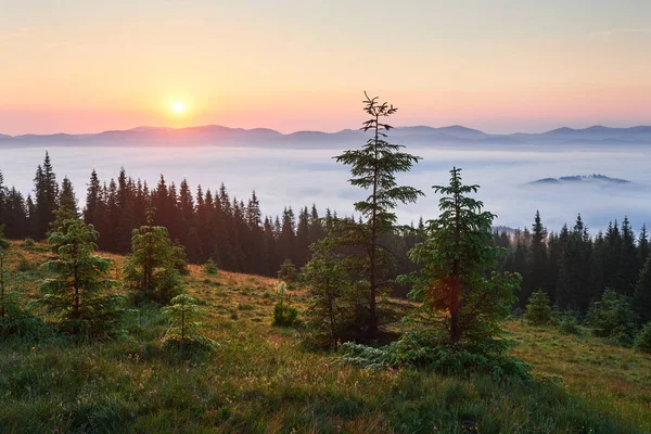 Закат Горах Пейзаж Драматическое Небо Карпаты Украины Европа — стоковое фото