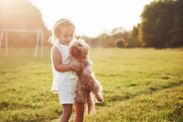 Chica Feliz Con Perro Parque Atardecer — Foto de Stock