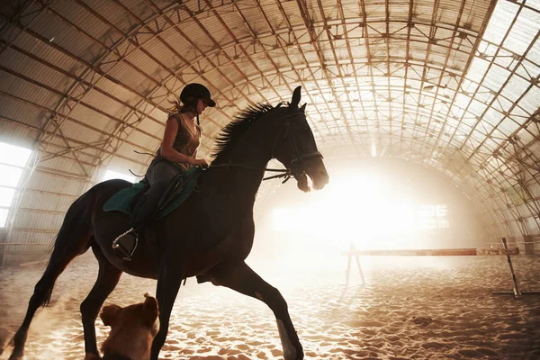 Μεγαλοπρεπής Εικόνα Του Αλόγου Σιλουέτα Αναβάτη Στο Φόντο Ηλιοβασίλεμα Κορίτσι — Φωτογραφία Αρχείου