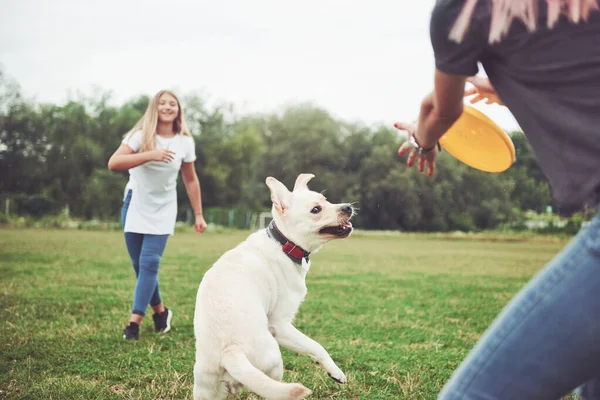 Seorang Gadis Muda Tersenyum Dengan Ekspresi Bahagia Bermain Dengan Anjing — Stok Foto