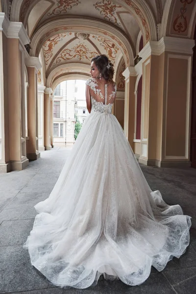 Mooie Elegante Bruid Met Een Perfecte Trouwjurk Poseert Rond Prachtige — Stockfoto